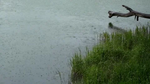 Rainy view of a lake with green grass Stock Footage 307437264