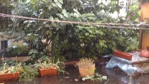 Rainy view from rear window Stock Footage 124744208