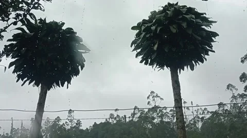 Rainy In Village Stock Footage 234539397