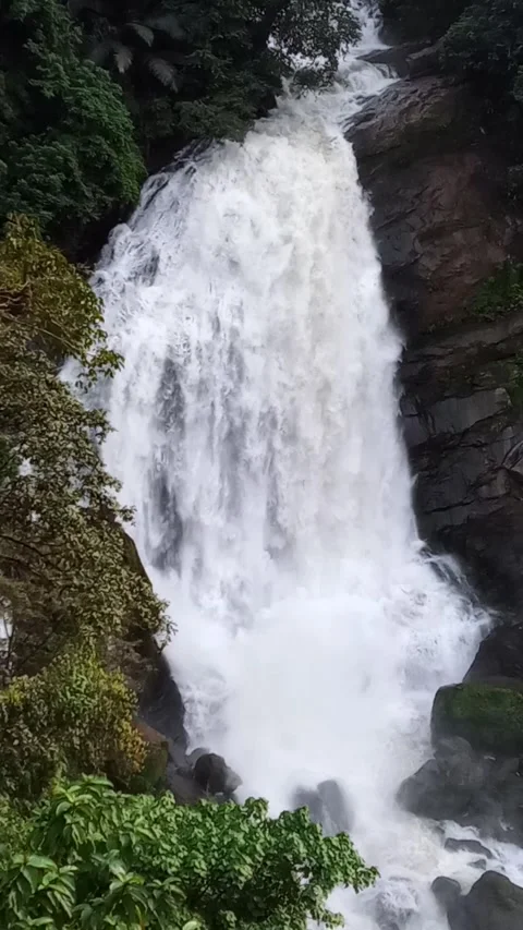 Rainy water falls Stock Footage