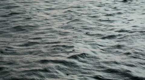 Rainy water surface Stock Footage 54503890
