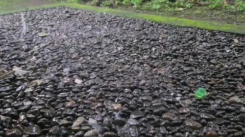 Rainy weather background Stock Footage 302235847