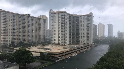 Rainy Weather before Doriane Stock Footage 115387493