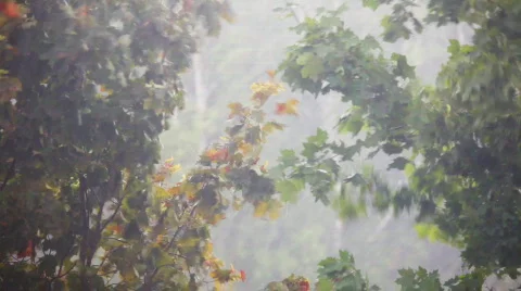 Rainy weather Stock Footage 829076