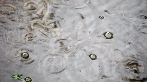 Rainy weather Stock Footage 39762988
