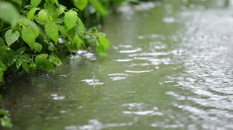 Rainy weather Video stock 39762999