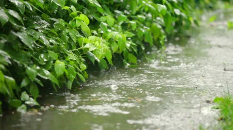 Rainy weather Stock Footage 39763029