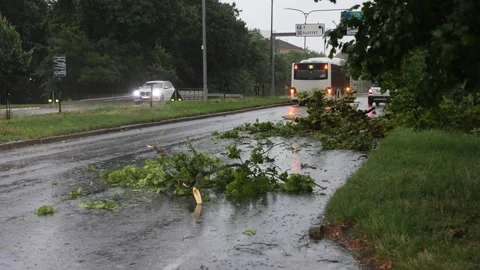 Rainy weather Stock Footage 203950642