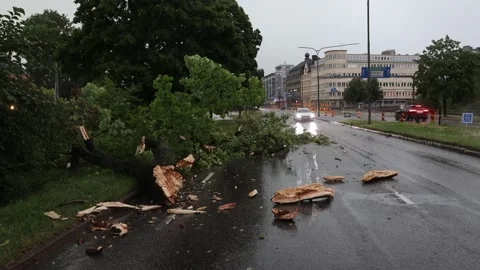 Rainy weather Stock-Footage 203950649