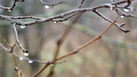 Rainy weather Stock Footage 217982000