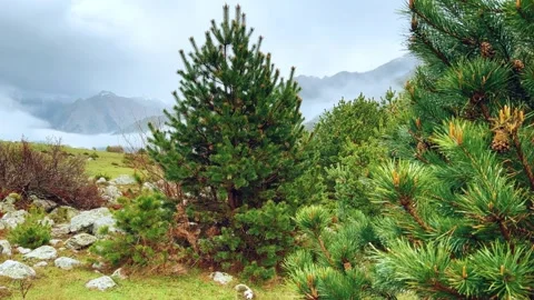 Rainy weather in the mountains. Stock Footage 243002090