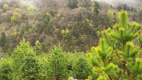 Rainy weather in the mountains. Stock Footage 243003607