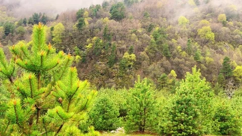 Rainy weather in the mountains. Stock Footage 243006508