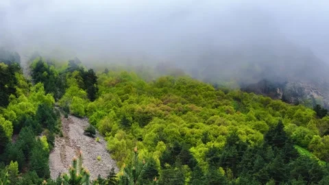 Rainy weather in the mountains. Stock Footage 243559892