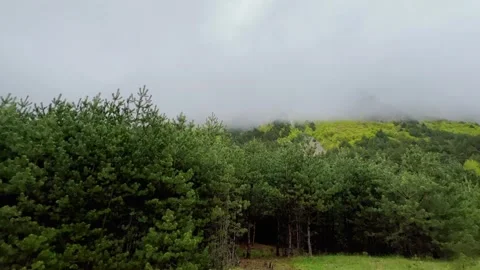 Rainy weather in the mountains. Stock Footage 246867734
