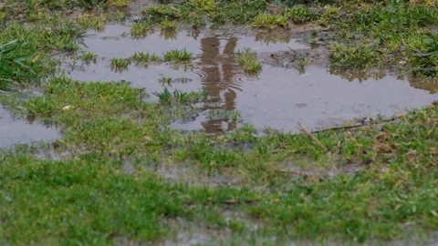 Rainy weather with raindrops creating ripples in a puddle Stock Footage 329557261