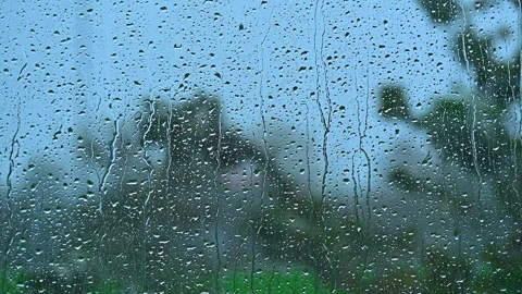 Rainy weather with trees swaying in the wind visible through wet window glass Stock Footage 260851253