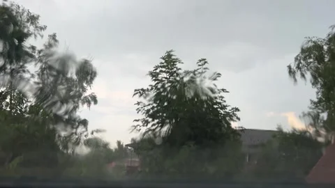 Rainy Weather with Windblown Trees Seen Through Wet Window Video stock 344798978