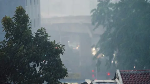 Rainy Wind in Jakarta Stock Footage 220526128