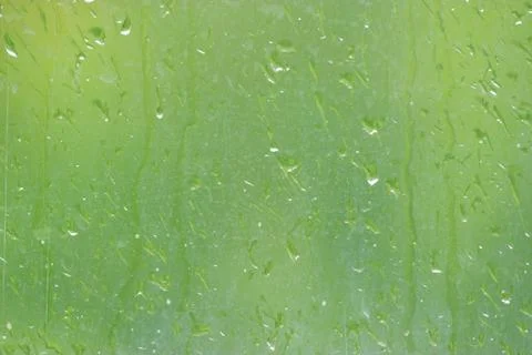 Rainy window blur Stock Photos