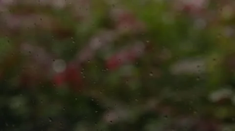 Rainy window 库存影片 12257564