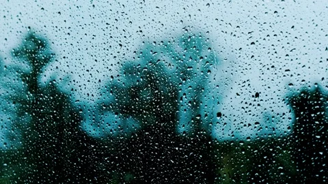 Rainy Window Slow TV Loop - Blurred Trees Beyond Stock Footage 337083604