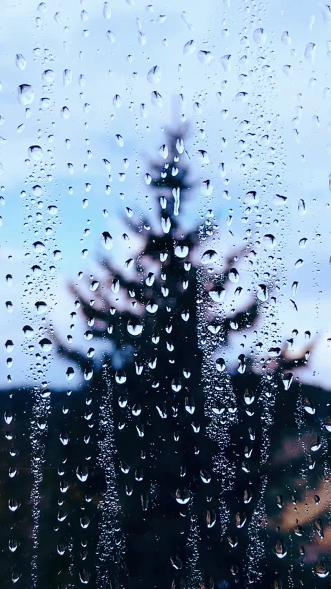 Rainy Window View - Calm Raindrops and Soft Blurred Scenery Video stock 337083714