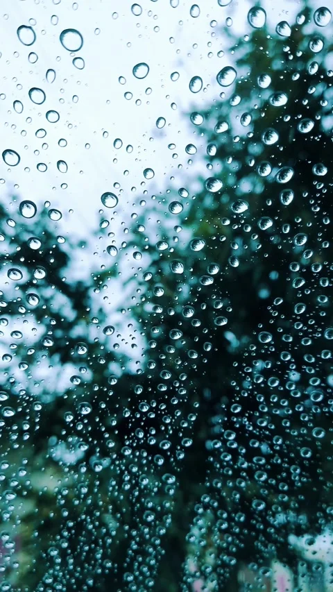 Rainy Window View - Cozy Raindrops Ambient Loop Video stock 337083700