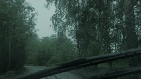 Rainy windshield, driving in a car through a dark mystical forest. Video stock 165391180