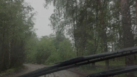 Rainy windshield, driving in a car through a dark mystical forest. Stock Footage