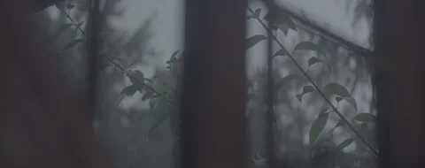 RAINY_DAY_LOOKING_OUT_WINDOW Stock Footage 251482731