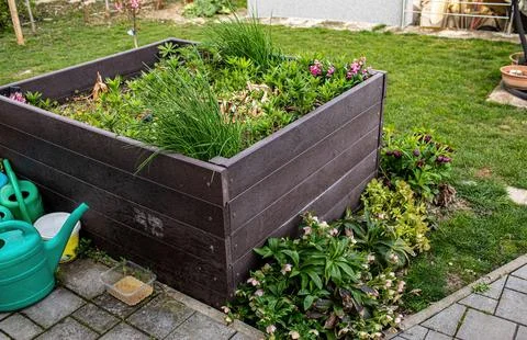 Raised bed garden during spring season. Stock Photos