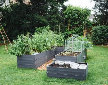 Raised beds in the garden Stock Illustration