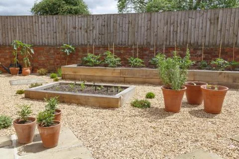 Raised beds in kitchen garden Stock Photos
