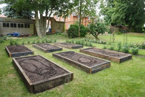 Raised beds in vegetable garden Stock Photos