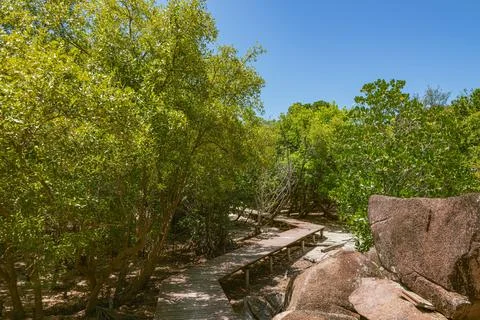 Raised Boardwalk Through The Intertidal Zone Stock Photos
