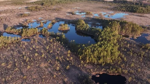 Raised bog landscape at sunset. 4k Aerial video. Stock Footage 333361307
