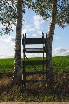 Raised deer stand between two birch trees in front of cloudy sky 写真素材
