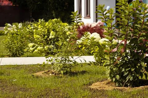 Raised flower bed design with multiple levels. Landscaping on a new plot with a Stock Photos