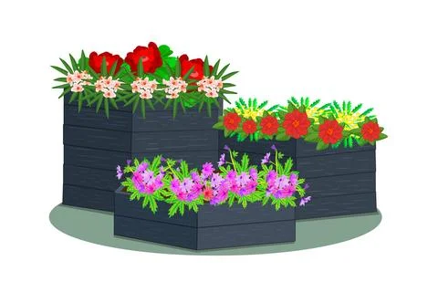 Raised flower bed isolated on white background. Wooden planter boxes. Stock Illustration