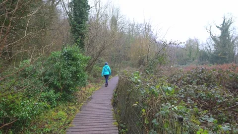 Raised footpath at Roche Abbey, Rotherham Stock Footage 321474319