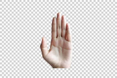 Raised Hand Gesture on Transparent Background for Communication and Concepts Stock Photos