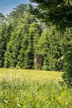Raised hide on the edge of the forest Фото