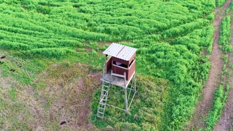A raised hide for hunting Stock Footage 316980918