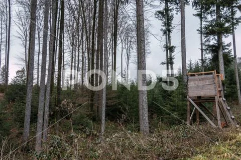 Raised hide in the middle of the forest Stock Photos