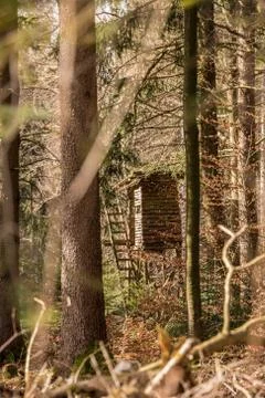 Raised hide in the middle of the forest Stock Photos
