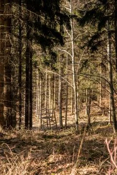 Raised hide in the middle of the forest Stock Photos