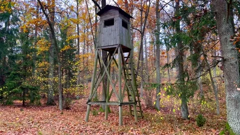 Raised hide standing in autumnal forest. Stock Footage 220151037