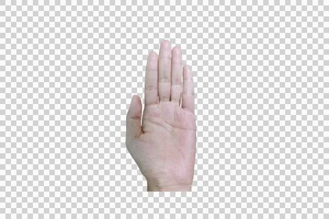 Raised Open Hand on Transparent Background for Concepts and Gestures Stock Photos