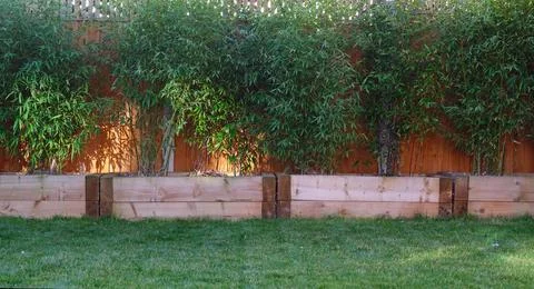 Raised vegetable, flower bed, made with Railway sleepers. Bamboo screening Stock Photos